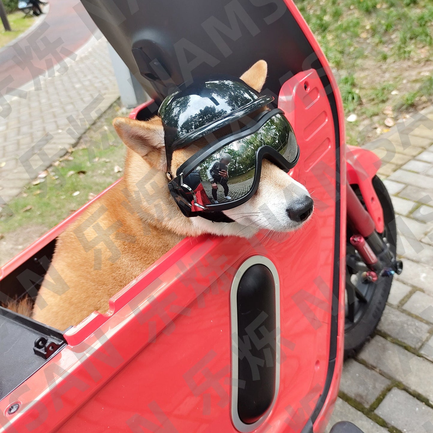 Pet Helmet Pet Glasses Matching Hat Dog Cat Motorcycle Safety Helmet Hat Accessories Hat Headwear