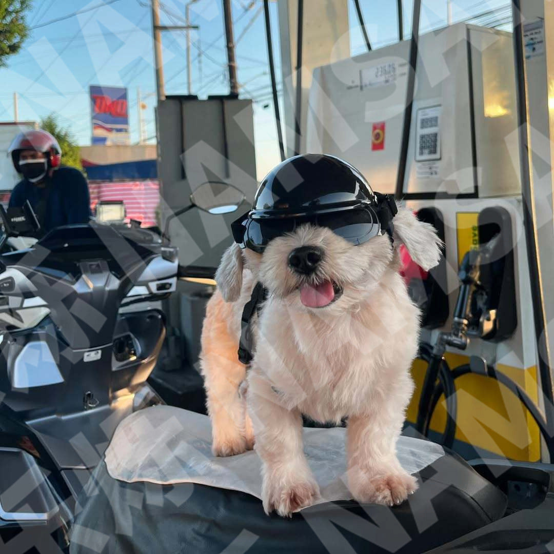 Cross-border pet dog motorcycle helmet cat little helmet dog hat with glasses accessories dog safety helmet