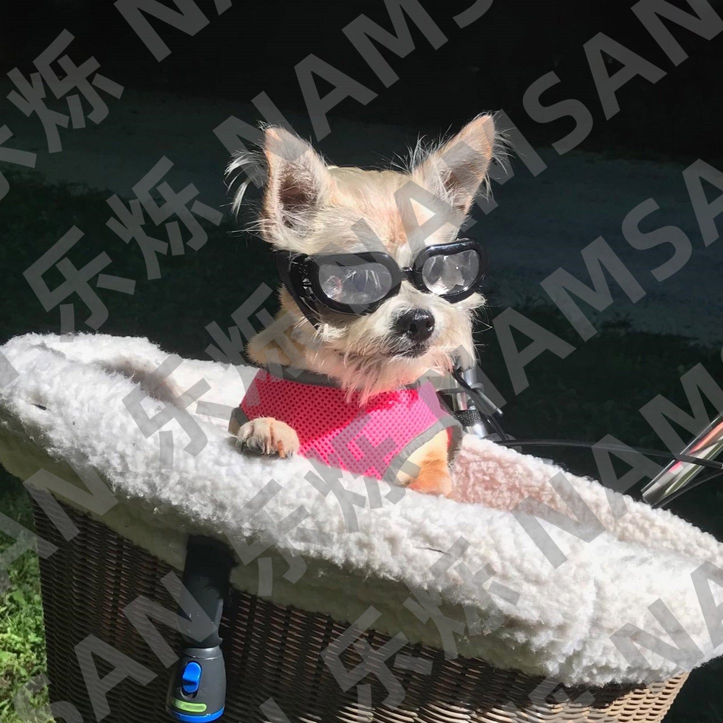 Pet supplies cat glasses Amazon dog goggles sunglasses summer UV protection factory wholesale