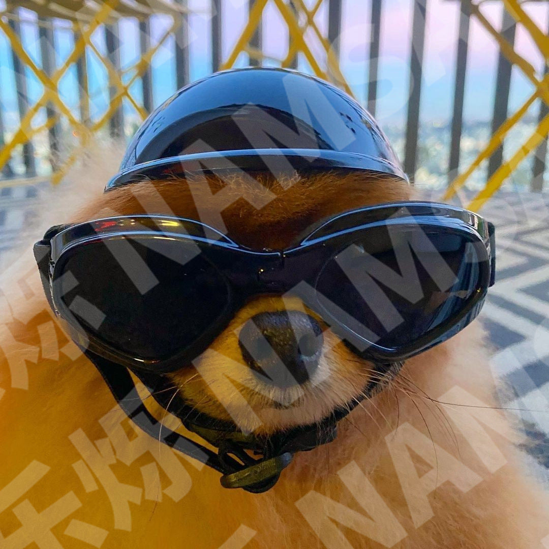 Cross-border pet dog motorcycle helmet cat little helmet dog hat with glasses accessories dog safety helmet