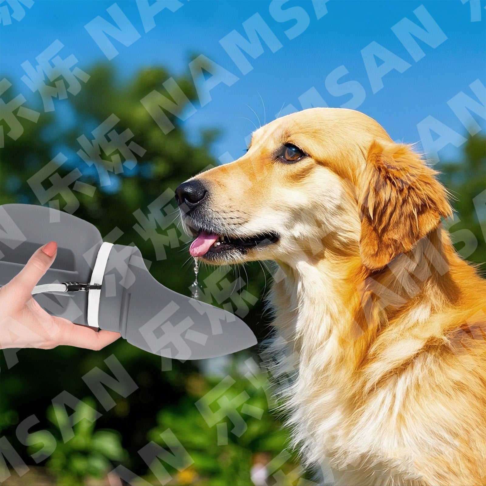 Cross-border new convenient foldable pet water bottle accompanying water cup outdoor dog walking water dispenser pet supplies