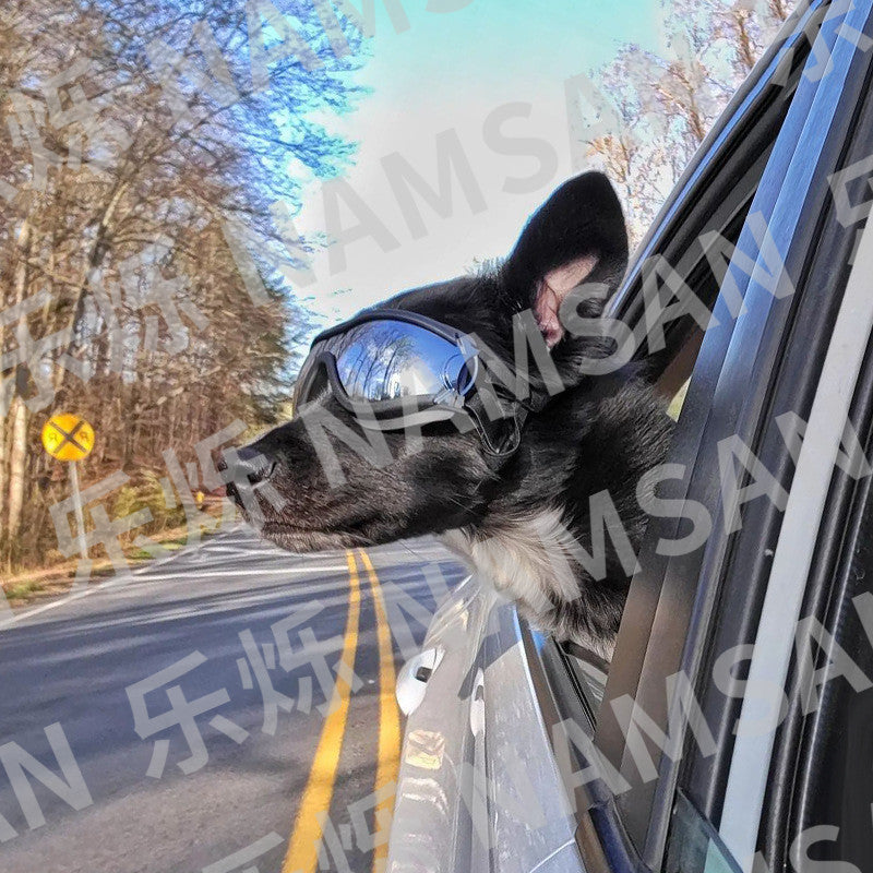 Pet glasses dog products goggles waterproof windproof sunscreen UV big dog glasses manufacturers wholesale